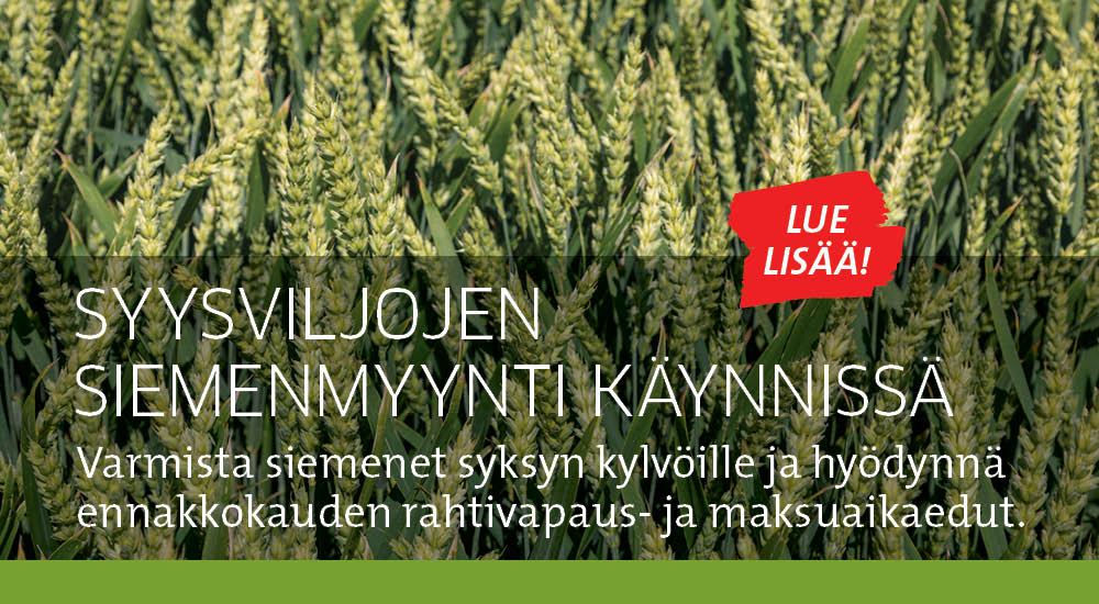 Syysviljat siemenmyynti